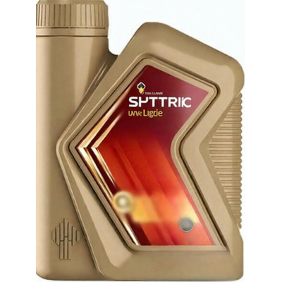 Моторное масло Роснефть Magnum 5W-30, 1 л, синтетическое
